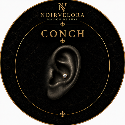 Collection image for: Conch