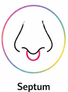 Collection image for: Septum