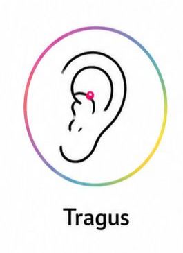Collection image for: tragus