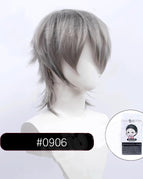 SW2450906 Silver Gray