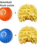 BlueOrange2Urchin Set