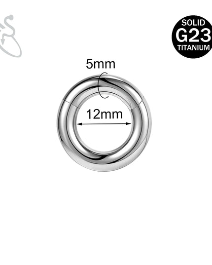 ZS 1PC G23 Titanium Hoop Earring for Women Silver Plated Circle Earring Large Gauge Seputm Nose Ring 2/4/6/8/10/12G Punk Earring