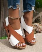 Light Brown / 40
