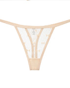 Apricot / S