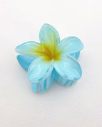 Blue Plumeria Rubra
