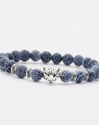 2 / Leopard