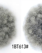 1BT613