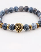 2 / Lion