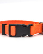 Orange / L