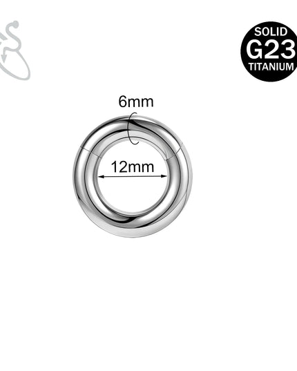 ZS 1PC G23 Titanium Hoop Earring for Women Silver Plated Circle Earring Large Gauge Seputm Nose Ring 2/4/6/8/10/12G Punk Earring