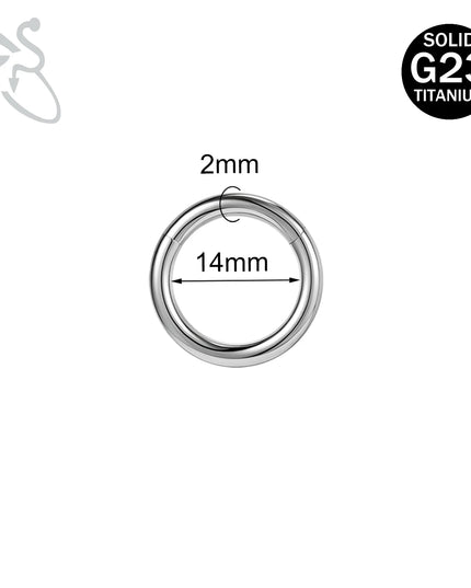ZS 1PC G23 Titanium Hoop Earring for Women Silver Plated Circle Earring Large Gauge Seputm Nose Ring 2/4/6/8/10/12G Punk Earring