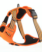 Orange / S