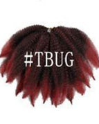 TBUGcolor