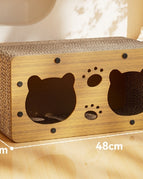 Scratch Resistant / Bear Single Layer Small Size
