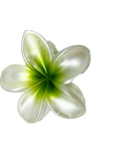 Pearl Green