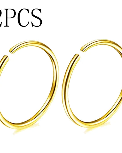 2Pcs 20G 0.8Mm Thin Fake Nose Ring Septum Helix Nostril Piercing Labret Lip Fake Piercing Titanium Cartilage Fake Earrings Hoop