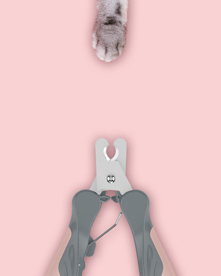 ea04df001ab9ce50a823ab0f6c524302