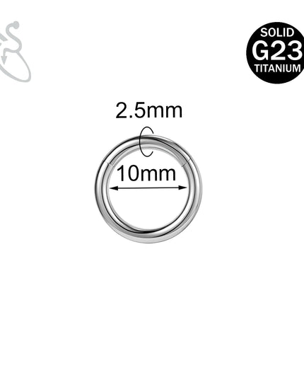 ZS 1PC G23 Titanium Hoop Earring for Women Silver Plated Circle Earring Large Gauge Seputm Nose Ring 2/4/6/8/10/12G Punk Earring