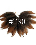 T30Color