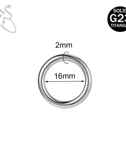 ZS 1PC G23 Titanium Hoop Earring for Women Silver Plated Circle Earring Large Gauge Seputm Nose Ring 2/4/6/8/10/12G Punk Earring