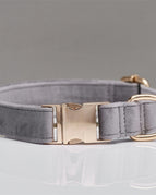 Grey / XS