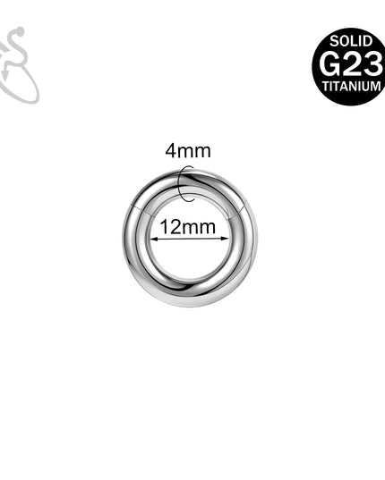 ZS 1PC G23 Titanium Hoop Earring for Women Silver Plated Circle Earring Large Gauge Seputm Nose Ring 2/4/6/8/10/12G Punk Earring