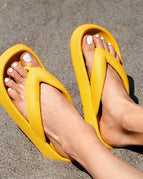 Yellow / 36to37