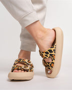 Leopard / 35to36