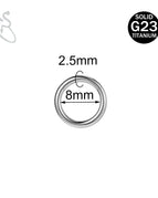 2.5X8Mm