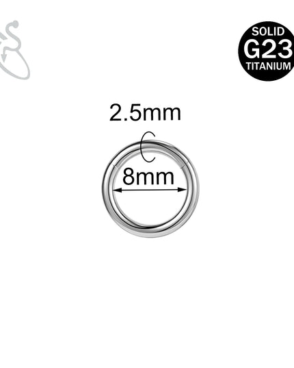ZS 1PC G23 Titanium Hoop Earring for Women Silver Plated Circle Earring Large Gauge Seputm Nose Ring 2/4/6/8/10/12G Punk Earring