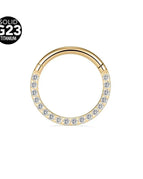 D-Gold Color / 16G 1.2X10Mm