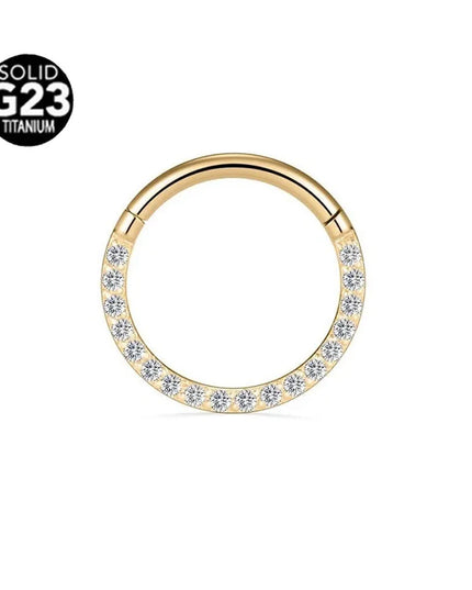 ASTM F136 G23 Titanium 16G Snake Bee Moon Flame Septum Piercing Heart Tusk Helix Hinged Daith Conch Earring Opal Hoop Nose Ring
