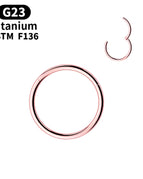 Rose Gold Color / 1.6X10Mm