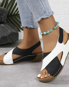 Black / 39