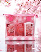 Japanese cherry blossoms