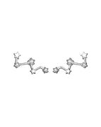 Silver Pairs