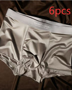 Ice Silk Silver Gray 6pcs / 2XL