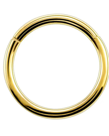 1PC G23 Titanium Hinged Segment Nose Ring 16G&14G Nipple Clicker Ear Cartilage Tragus Helix Lip Piercing Unisex Fashion Jewelry