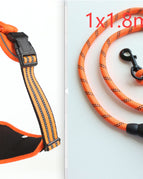 Orange  set2 / M