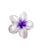 Purple Pearls