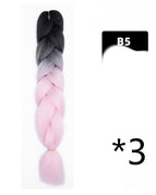 B5 / 3PC