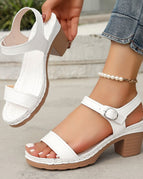 White / 36