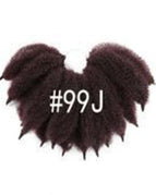 99JColor