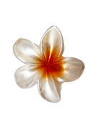 Pearl Orange Plumeria Rubra