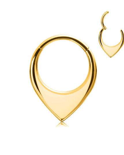 ASTM F136 G23 Titanium 16G Snake Bee Moon Flame Septum Piercing Heart Tusk Helix Hinged Daith Conch Earring Opal Hoop Nose Ring