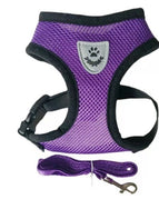 Purple / S