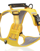 Yellow / L