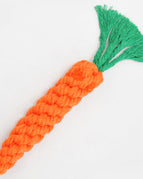 Radish
