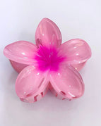 Pink Plumeria Rubra