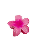 Pink Plumeria Rubra 4CM One